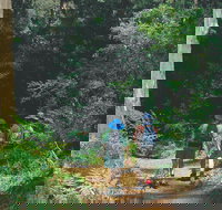 Gloucester National Park - Accommodation Whitsundays