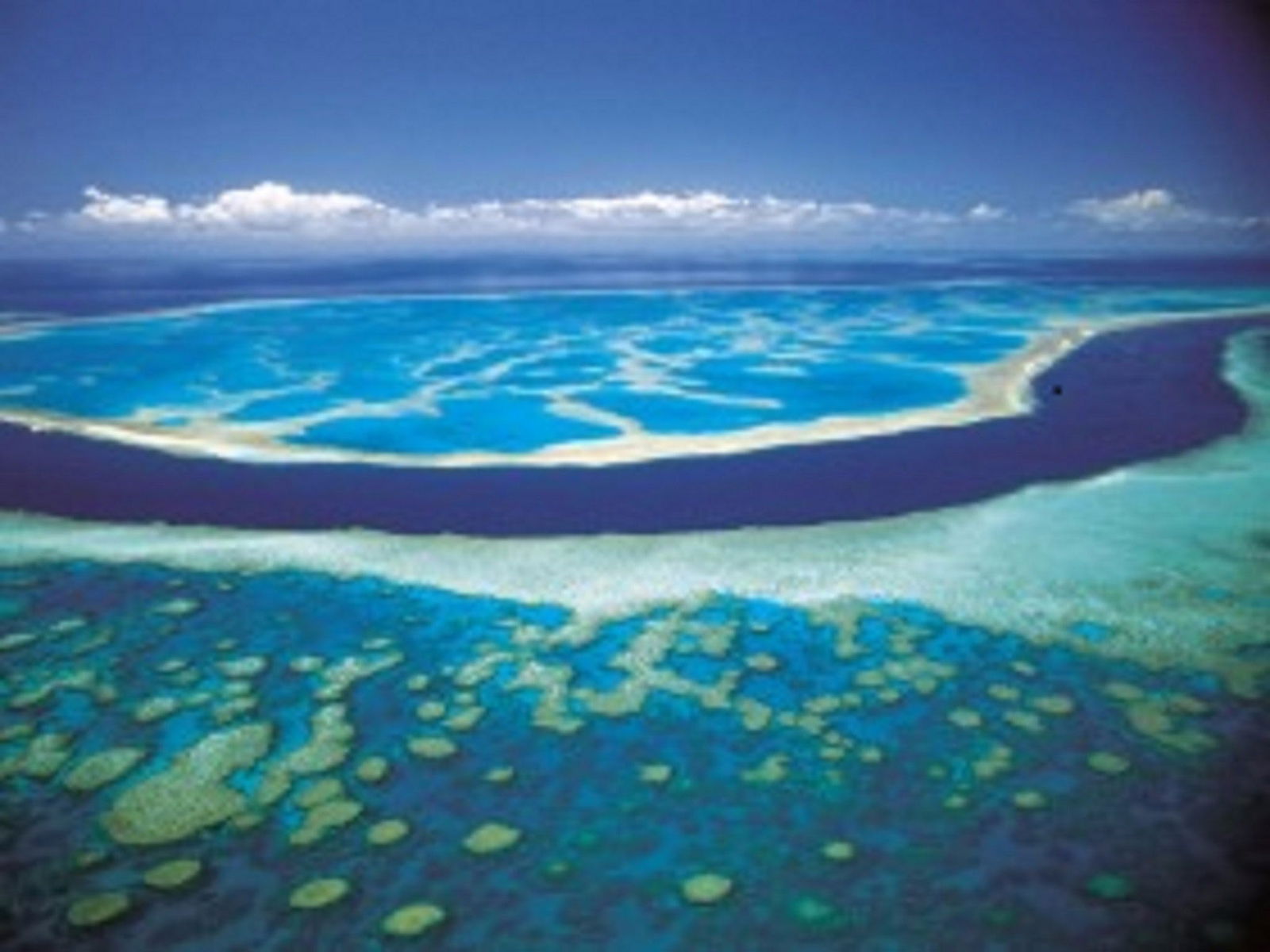 The Whitsundays QLD Accommodation Whitsundays