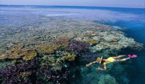 Hardy Reef - Accommodation Whitsundays 1