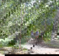 Hay Free Push Bikes - Accommodation Whitsundays