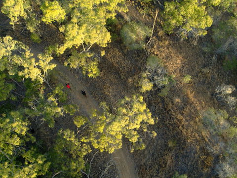 Hillview Drive Reserve - Accommodation Whitsundays 2