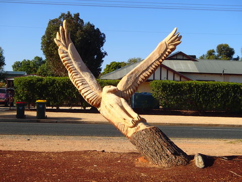 Loxton Tree Sculptures - Accommodation Whitsundays 0