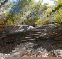 Mooney Mooney nature walk - Accommodation Whitsundays