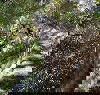 Moore Park Nature Reserve - Accommodation Whitsundays