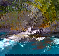 Newland Head Conservation Park - Accommodation Whitsundays