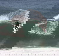 Old Bar - Accommodation Whitsundays