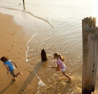 Phillip Island - Accommodation Whitsundays