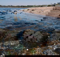 Point Cook Marine Sanctuary - Accommodation Whitsundays
