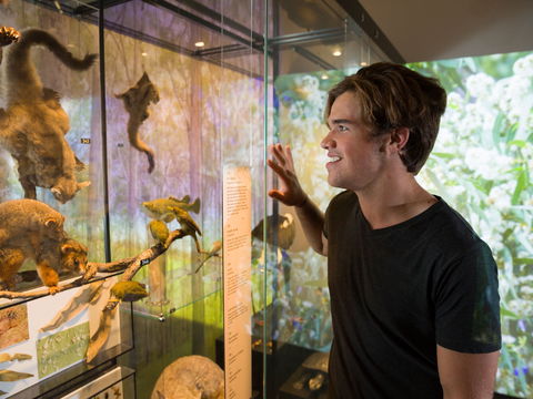 Queensland Museum - Accommodation Whitsundays 0