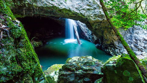 Springbrook - Accommodation Whitsundays 0