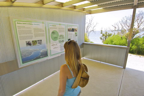 Stokes National Park - Accommodation Whitsundays 1