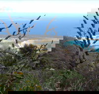 Strzelecki Peaks Great Short Walk - Accommodation Whitsundays