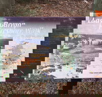 The Lady Barron Foreshore Walk - Accommodation Whitsundays