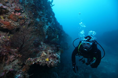 Twelve Apostles Marine National Park - Accommodation Whitsundays 0