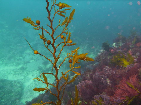 Twelve Apostles Marine National Park - Accommodation Whitsundays 2