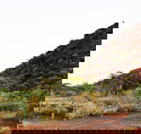 Whyalla Conservation Park - Accommodation Whitsundays