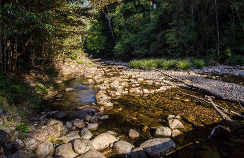 Wilson River Picnic Area - Accommodation Whitsundays 0