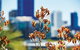 A Day In Perth - thumb 1