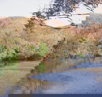 Alligator / Crocodile Hole - Accommodation Whitsundays