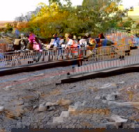 Australian Age of Dinosaurs - Accommodation Whitsundays