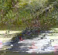 Berry Springs - Accommodation Whitsundays