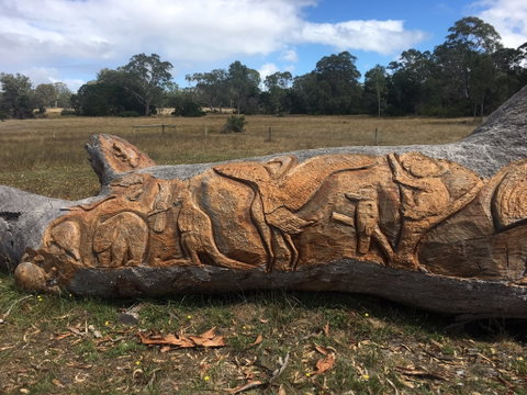 Bilston's Tree - Accommodation Whitsundays 1