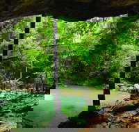 Buderim - Accommodation Whitsundays