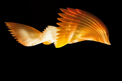 Bunjilaka Aboriginal Cultural Centre - Accommodation Whitsundays 1