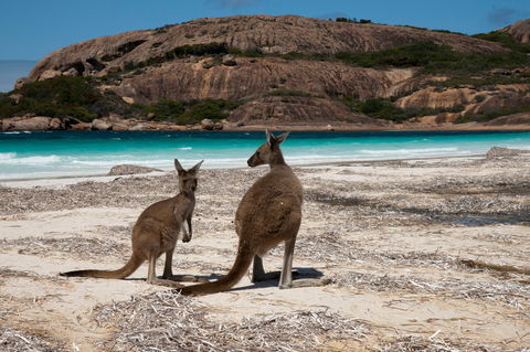 Cape Le Grand National Park - Accommodation Whitsundays 0