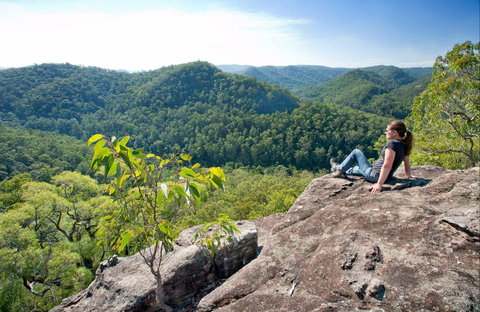 Dubbo Gully Loop Trail - Accommodation Whitsundays 0