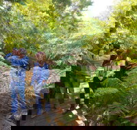 Endeavour Fern Gully Walks - Accommodation Whitsundays