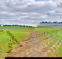 Eudunda - Accommodation Whitsundays