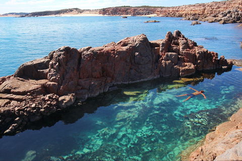 Eyre Peninsula - Accommodation Whitsundays 0