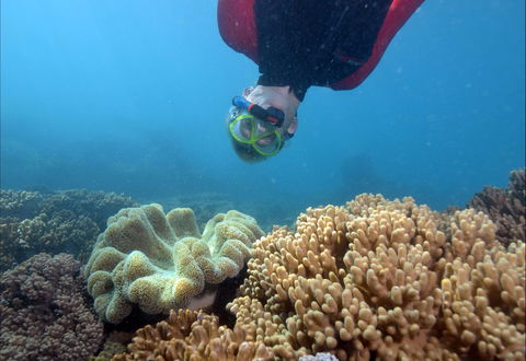 Geoffrey Bay Snorkel Trail - Accommodation Whitsundays 0