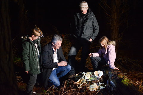 Ghost Mushroom Lane - Accommodation Whitsundays 2