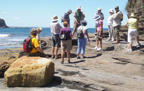 Gondwana Coast Fossil Walk - Accommodation Whitsundays 0