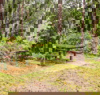 Goodenia Rainforest picnic area - Accommodation Whitsundays