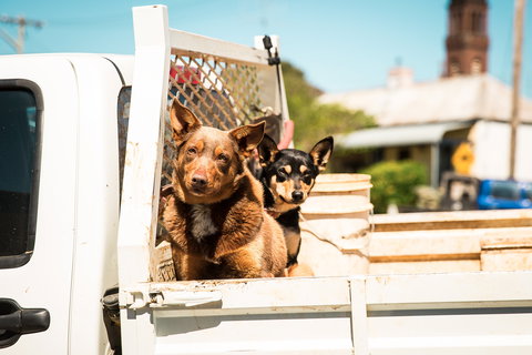 Harden Murrumburrah - Accommodation Whitsundays 0