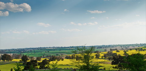 Harden Murrumburrah - Accommodation Whitsundays 1