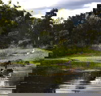 Hunter Wetlands Centre - Accommodation Whitsundays