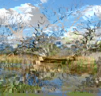 Lagoon Creek - Accommodation Whitsundays