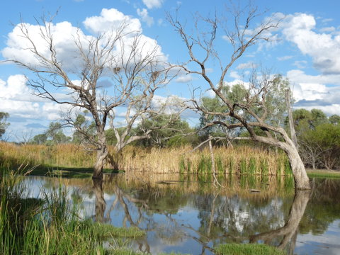 Lagoon Creek - Accommodation Whitsundays 0