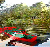 Lane Cove National Park - Accommodation Whitsundays