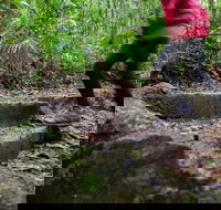 Maiala - Accommodation Whitsundays