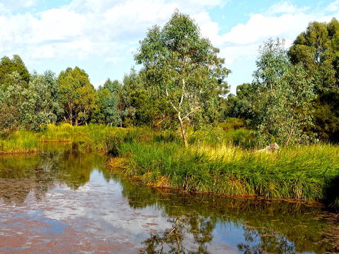 Mansfield Mullum Wetlands - Accommodation Whitsundays 0