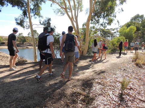 Merredin Railway Dam - Accommodation Whitsundays 1
