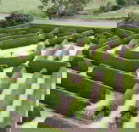Mintaro Maze - Accommodation Whitsundays
