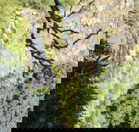 Morans Falls track Lamington National Park - Accommodation Whitsundays