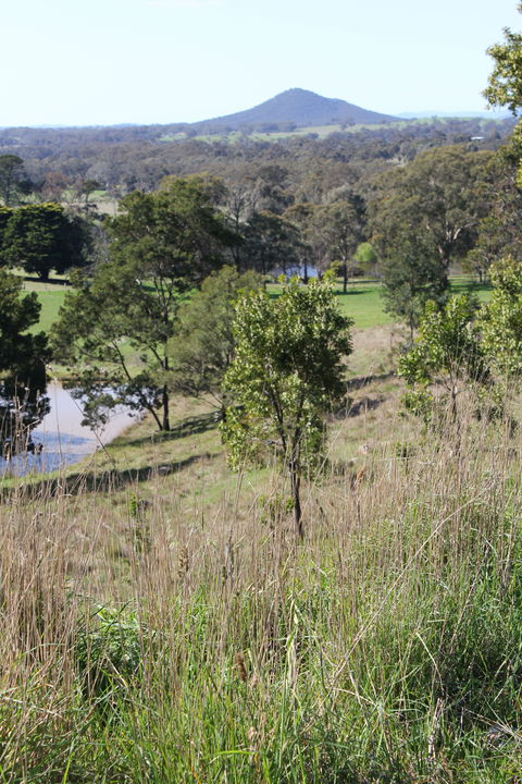 Mt Piper Nature Conservation Reserve - Accommodation Whitsundays 1