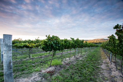 Nature And Foodies Trail - Accommodation Whitsundays 0